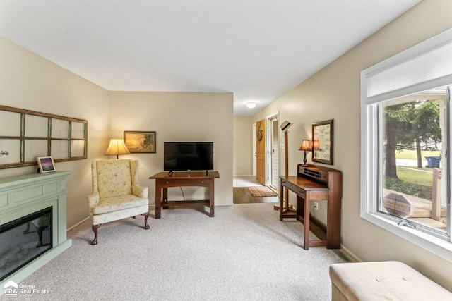 510 Hickory St, Linden, MI 48451 - photo 13