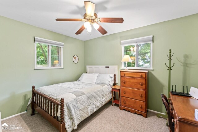 510 Hickory St, Linden, MI 48451 - photo 21