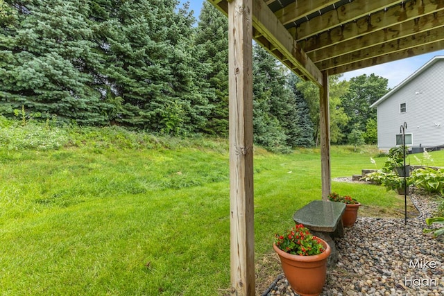 1226 Silver Ridge Ct, Greenville, MI 48838 - photo 26