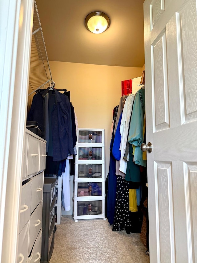 7366 Maplelawn Dr, Ypsilanti, MI 48197 - walk in closet featuring carpet flooring