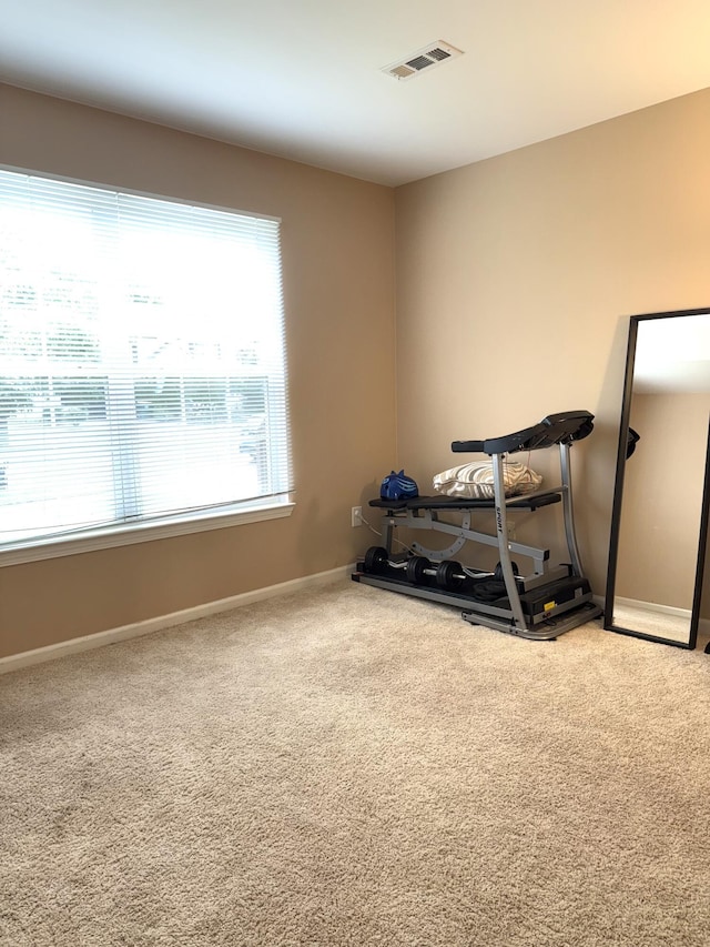 7366 Maplelawn Dr, Ypsilanti, MI 48197 - workout area featuring carpet