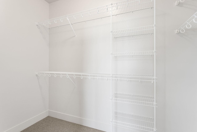 6153 Lake Wind Ave, Holland, MI 49423 - walk in closet with carpet