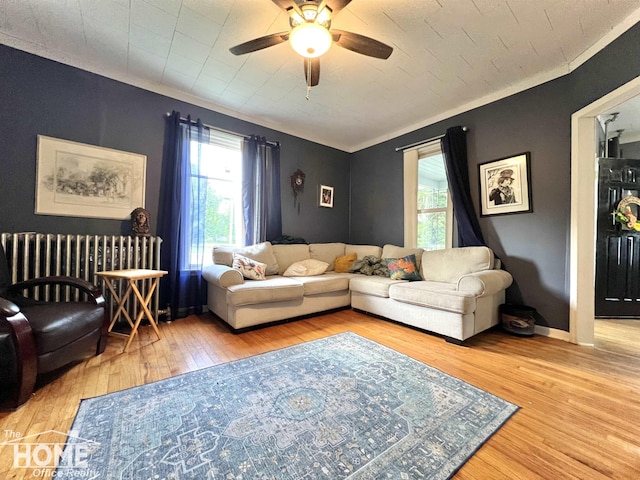 201 Mason St, Chesaning, MI 48816 - photo 7