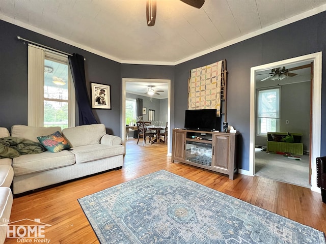 201 Mason St, Chesaning, MI 48816 - photo 8