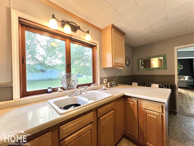 201 Mason St, Chesaning, MI 48816 - photo 13