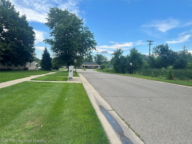 150 Princeton Dr Unit 22, South Lyon, MI 48178 - view of asphalt road with curbs