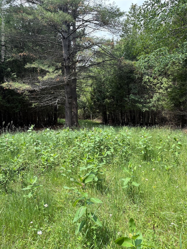 9999 W Hubert Rd, Hubbard Lake, MI 49747
