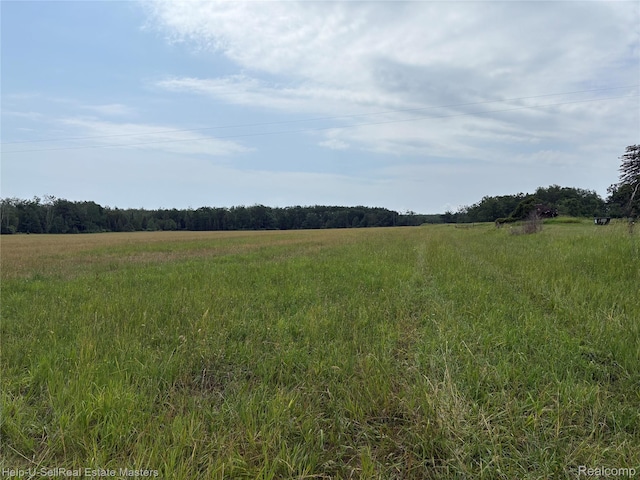 9999 W Hubert Rd, Hubbard Lake, MI 49747