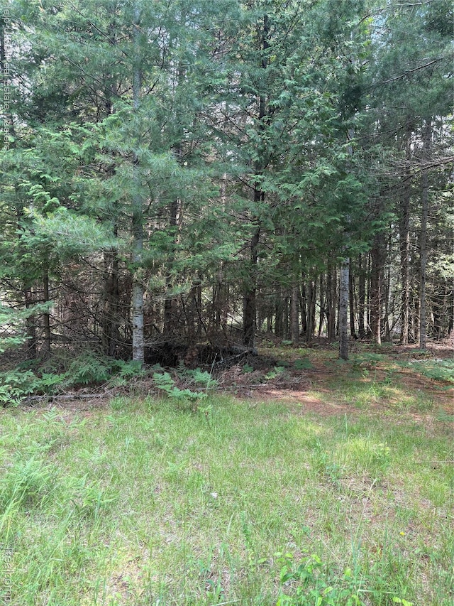 9999 W Hubert Rd, Hubbard Lake, MI 49747