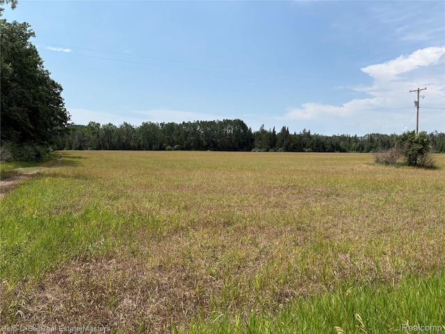 9999 W Hubert Rd, Hubbard Lake, MI 49747