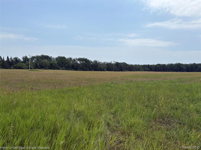 9999 W Hubert Rd, Hubbard Lake, MI 49747