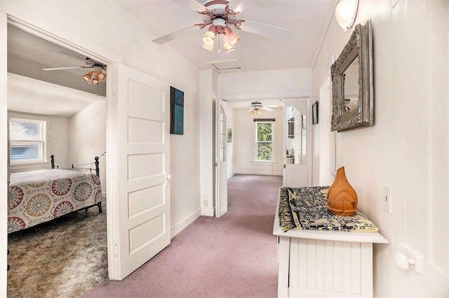 722 Conger St, South Haven, MI 49090 - corridor with carpet and ornamental molding