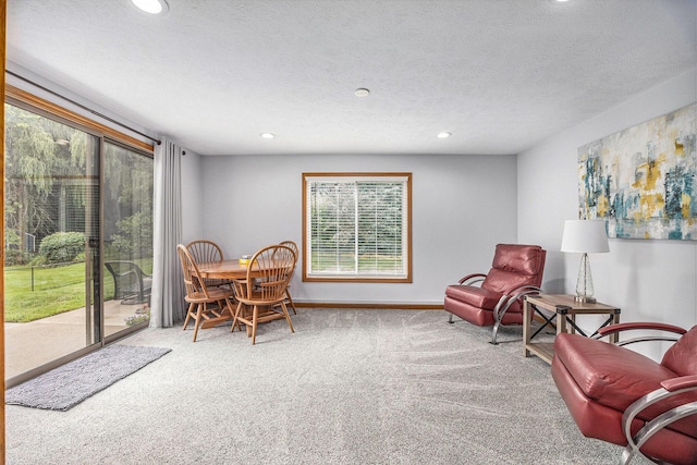 1527 Wiersma Dr, Zeeland, MI 49464 - living area featuring carpet, recessed lighting, and a textured ceiling