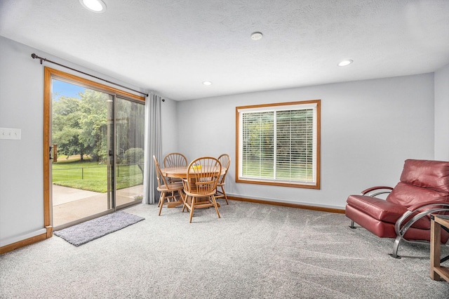 1527 Wiersma Dr, Zeeland, MI 49464 - living area with carpet floors, recessed lighting, and plenty of natural light
