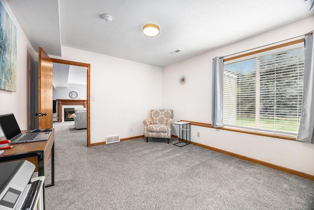 1527 Wiersma Dr, Zeeland, MI 49464 - home office featuring carpet floors and a warm lit fireplace