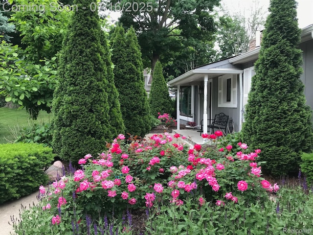46877 W Ann Arbor Trl, Plymouth, MI 48170 - view of yard