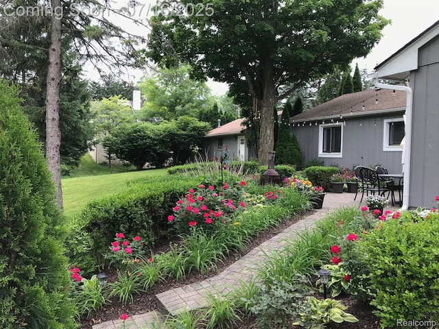 46877 W Ann Arbor Trl, Plymouth, MI 48170 - view of yard with a patio area