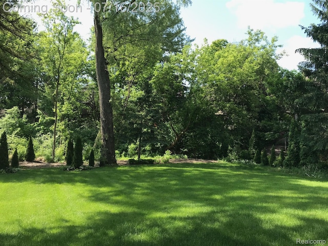 46877 W Ann Arbor Trl, Plymouth, MI 48170 - view of grassy yard