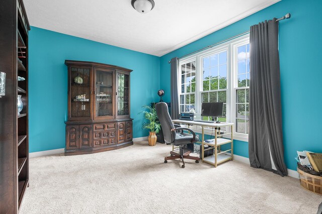 7873 Shepherds Glen Ct, Kalamazoo, MI 49009 - photo 6