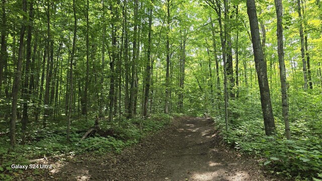 11480 Buck Ln, Mancelona, MI 49659 - photo 17