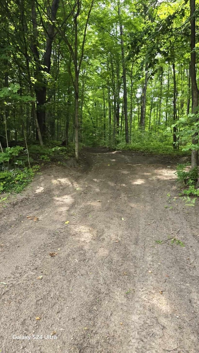 11480 Buck Ln, Mancelona, MI 49659 - photo 19