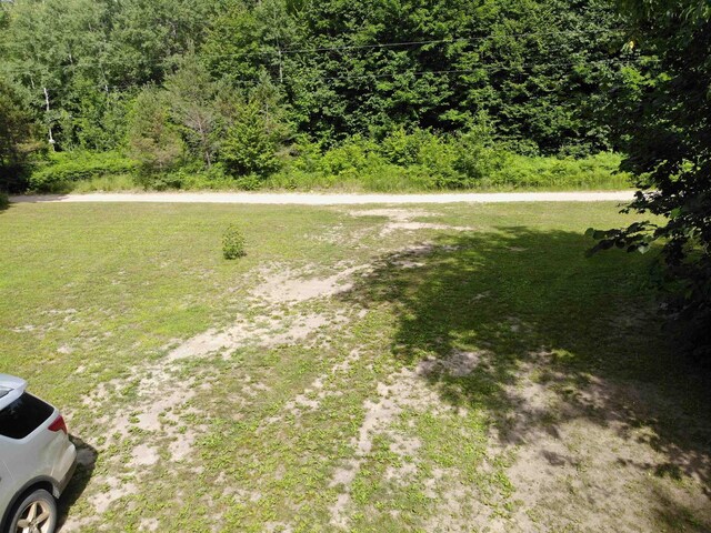 11480 Buck Ln, Mancelona, MI 49659 - photo 28