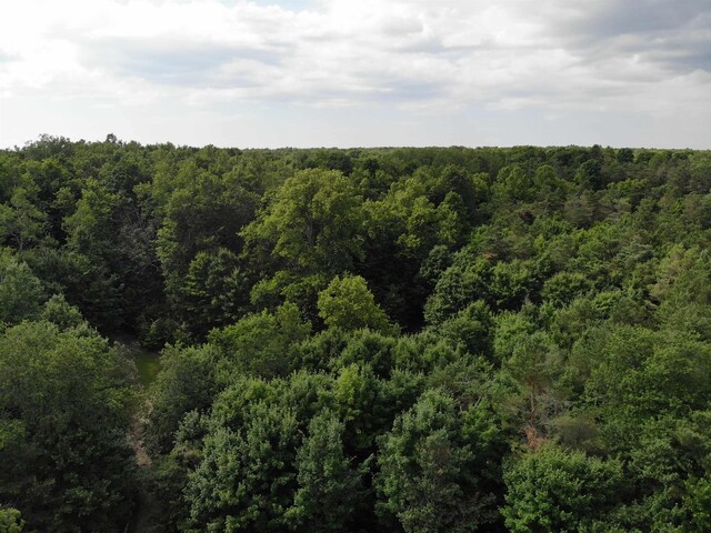 11480 Buck Ln, Mancelona, MI 49659 - photo 22