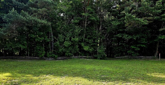 11480 Buck Ln, Mancelona, MI 49659 - photo 18