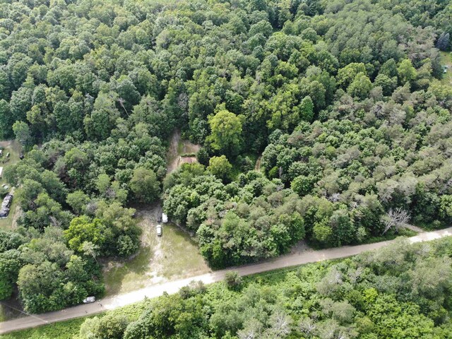 11480 Buck Ln, Mancelona, MI 49659 - photo 20