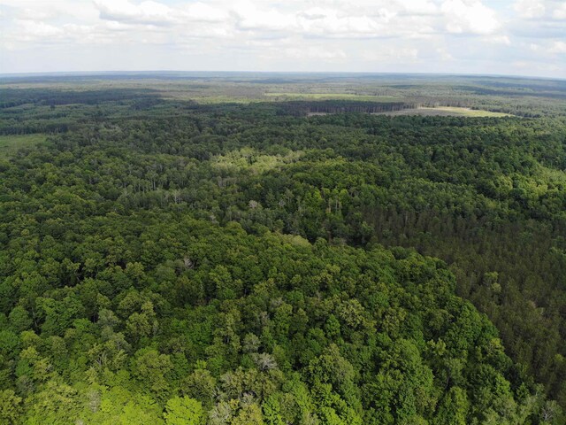 11480 Buck Ln, Mancelona, MI 49659 - photo 21