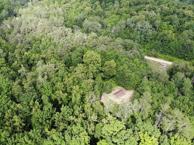 11480 Buck Ln, Mancelona, MI 49659 - photo 23