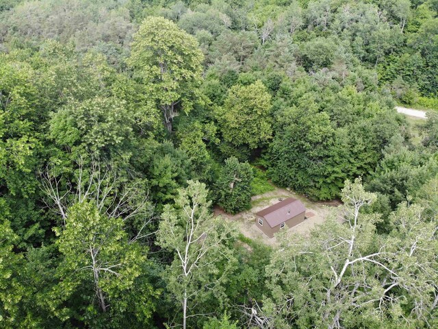 11480 Buck Ln, Mancelona, MI 49659 - photo 24