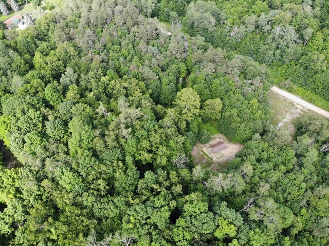 11480 Buck Ln, Mancelona, MI 49659 - photo 25