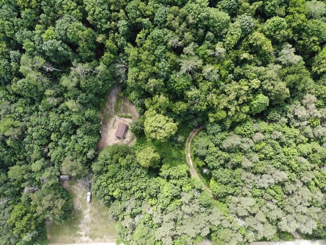11480 Buck Ln, Mancelona, MI 49659 - photo 26
