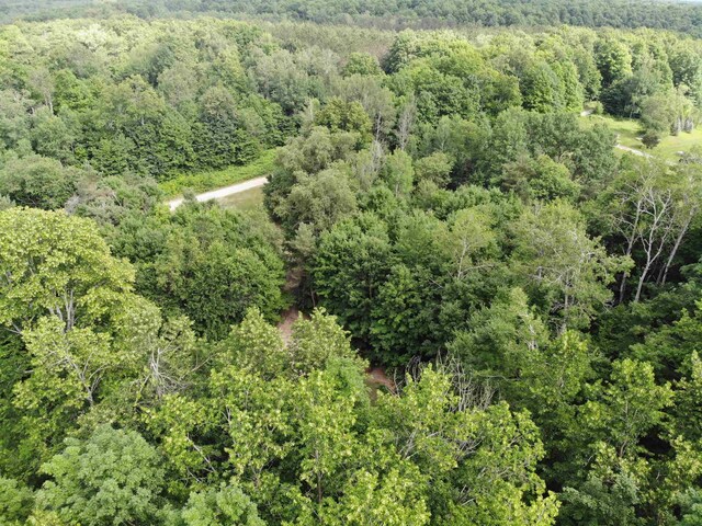 11480 Buck Ln, Mancelona, MI 49659 - photo 27