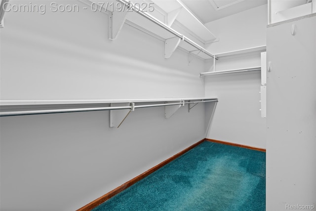 260 Forest Crest Dr, Commerce Twp, MI 48390 - spacious closet featuring carpet flooring