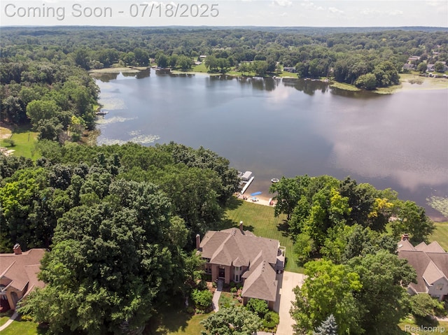 3166 Beach Lake Dr W, Milford, MI 48380 - photo 6