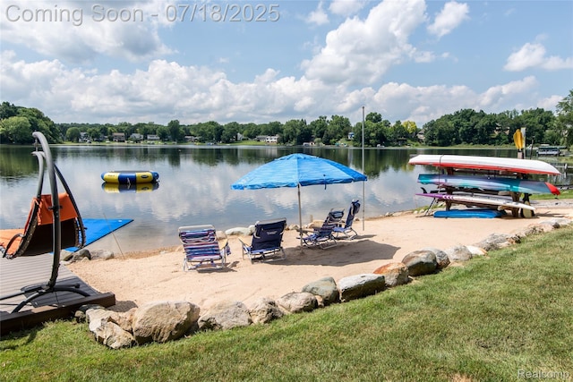 3166 Beach Lake Dr W, Milford, MI 48380 - photo 17
