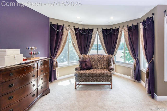 3166 Beach Lake Dr W, Milford, MI 48380 - photo 59