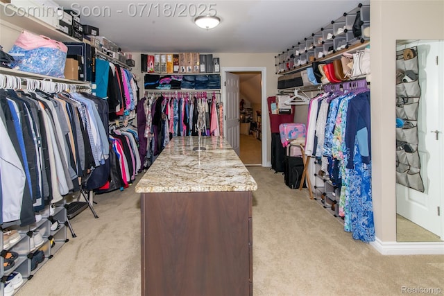 3166 Beach Lake Dr W, Milford, MI 48380 - photo 64