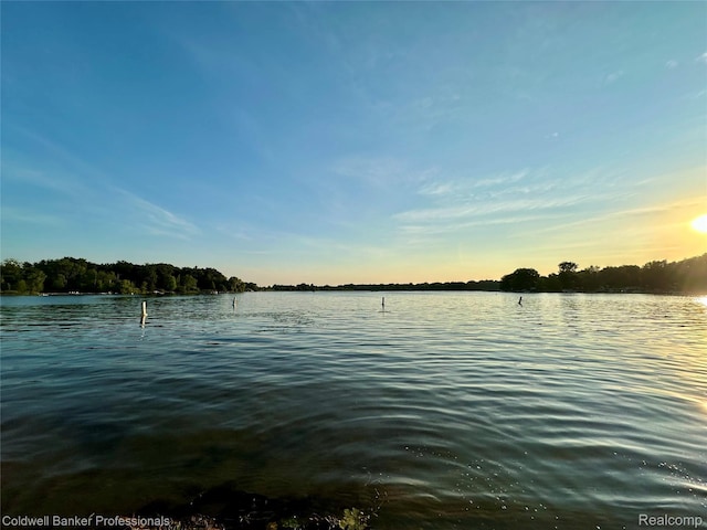 975 Boshaw Dr, Attica, MI 48412 - photo 3