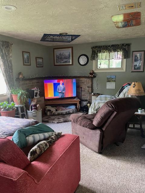 17448 Lakeview Dr, Vandalia, MI 49095 - photo 5