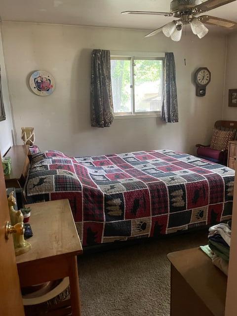 17448 Lakeview Dr, Vandalia, MI 49095 - photo 7