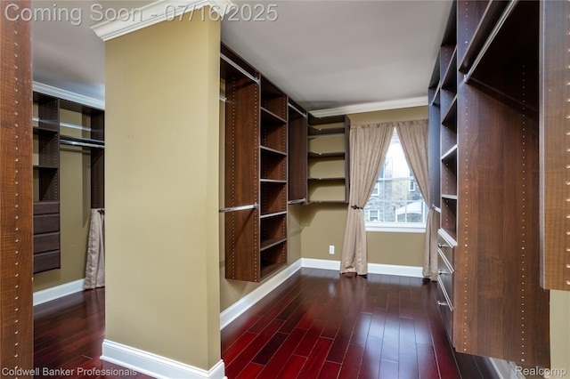 56 Oxford Rd, Grosse Pointe Shores, MI 48236 - walk in closet featuring wood finished floors