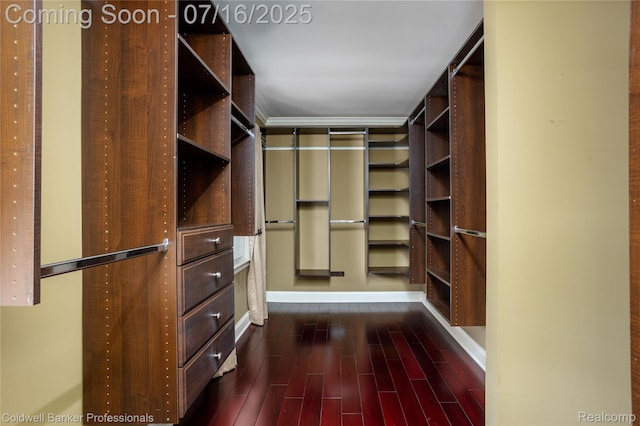56 Oxford Rd, Grosse Pointe Shores, MI 48236 - spacious closet featuring dark wood-style flooring