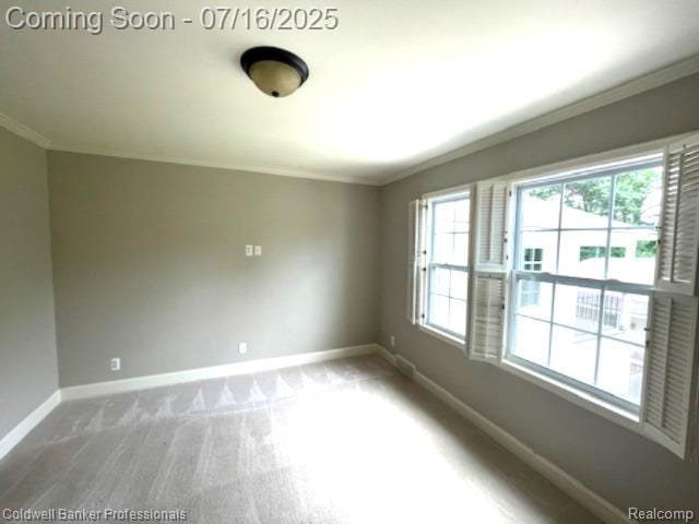 56 Oxford Rd, Grosse Pointe Shores, MI 48236 - spare room featuring ornamental molding and carpet flooring