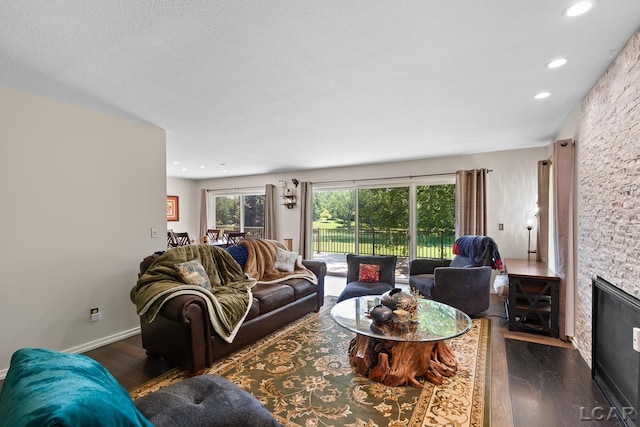 579 Budlong St, Adrian, MI 49221 - living area with wood finished floors, a fireplace, and recessed lighting