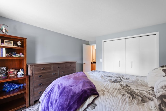 579 Budlong St, Adrian, MI 49221 - bedroom featuring a closet