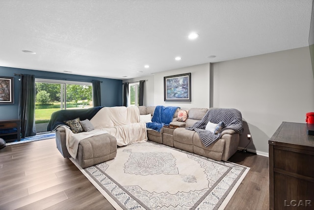 579 Budlong St, Adrian, MI 49221 - living area featuring a textured ceiling, recessed lighting, and wood finished floors