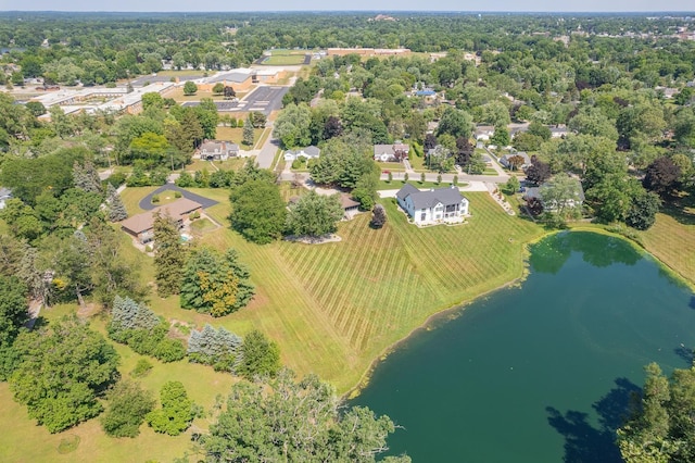 579 Budlong St, Adrian, MI 49221 - aerial overview of property's location with a large body of water